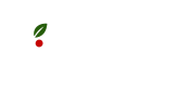Pizza & Micha – Twoja pizzeria w Tarnowskich Górach