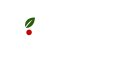 Pizza & Micha – Twoja pizzeria w Tarnowskich Górach
